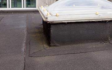 disadvantages of Johnshaven flat roofs